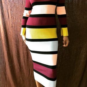 Stretch Multicolored Striped Turtleneck Midi Dress